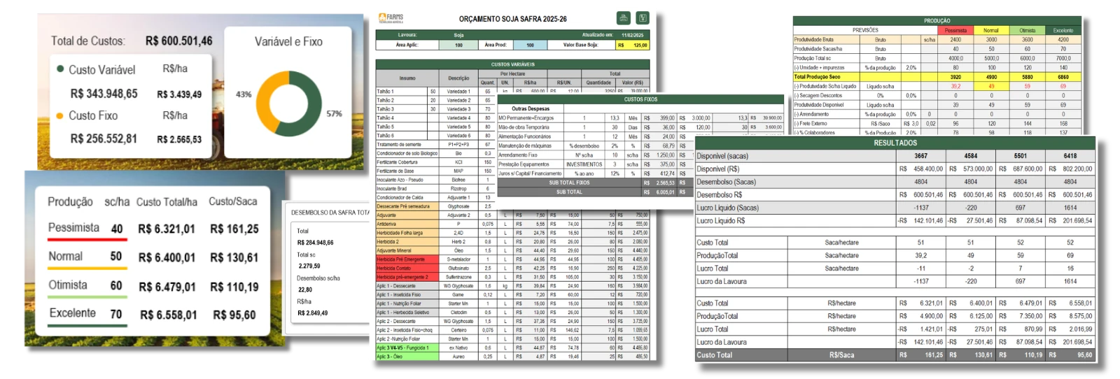 Telas da Calculadora de Viabilidade da Safra com custos variáveis e fixos, orçamento, produção e resultados dos quatro cenários.