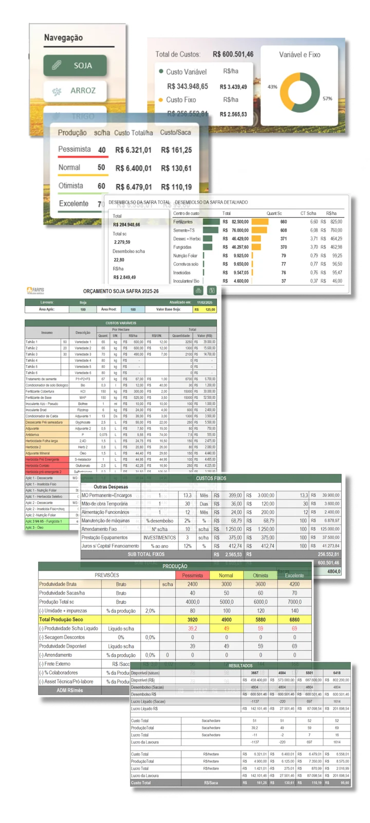 Telas da Calculadora de Viabilidade da Safra com navegação por culturas, custos, quatro cenários de produção e resultados financeiros.