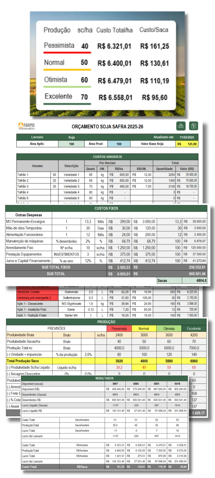 Planilha da Calculadora de Viabilidade da Safra com custos variáveis e fixos, produção e resultados dos cenários Pessimista, Normal, Otimista e Excelente.